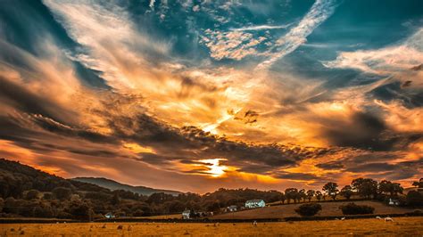 Sunset Sky Clouds Field Trees Horizon 4K HD Wallpapers | HD Wallpapers ...