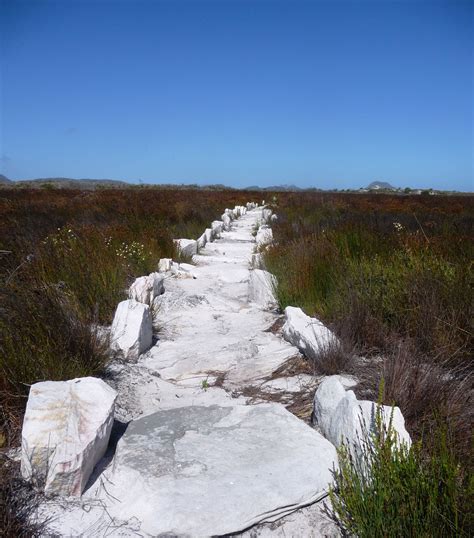 Cape Point National Park hiking trail, Cape Town, South Africa | Hiking ...