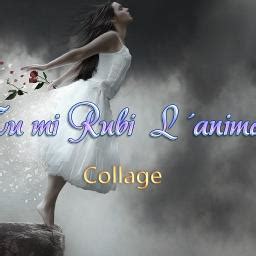 Tu mi rubi l'anima - Collage - Song Lyrics and Music by Collage ...