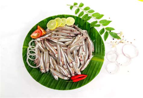 Interesting Health Benefits of Anchovies - Nutrition: Health Benefits ...