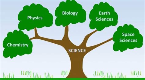 Branches of science: All you need to know about branches of science