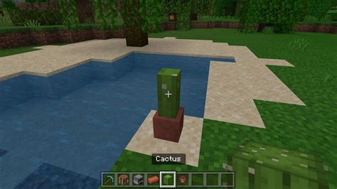 5 things you may not know about cactus blocks in Minecraft