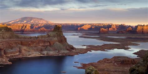 The Best Places to View Wildlife from a Paddle board in Arizona!