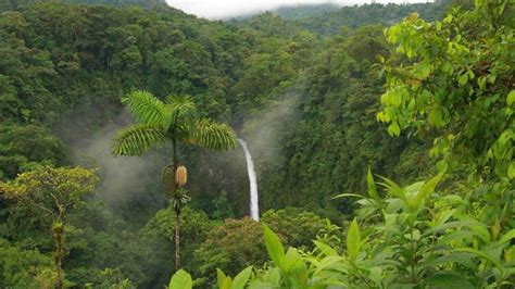 African jungle waterfall | Tarzan Set | Pinterest | Waterfalls ...