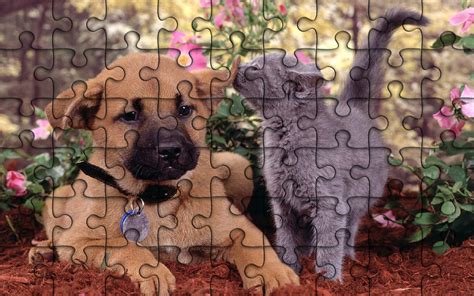 14+ Fun Jigsaw Puzzles How to recycle: recycled jigsaw puzzle pieces ...