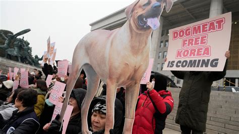 South Korea’s parliament passes landmark ban on production and sales of ...