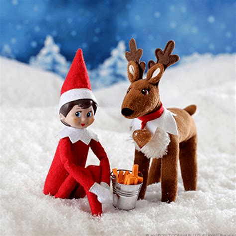 Why Did My Elf Go Back to the North Pole? - Elf On The Shelf Australia