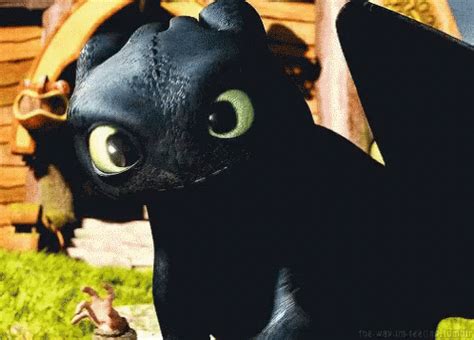 Toothless Dragon Cartoon GIF - Toothless Dragon Cartoon - Discover ...