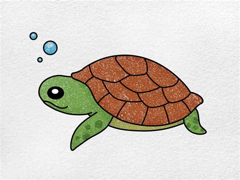 How to Draw a Baby Turtle - HelloArtsy