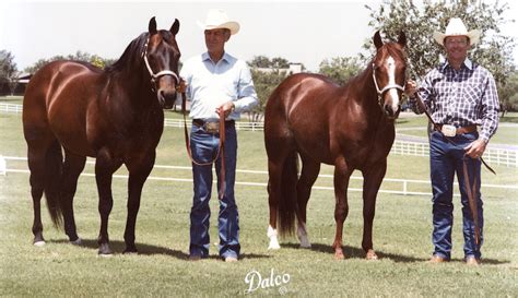 From The Archives: Doc Bar - Quarter Horse News