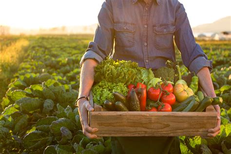 The Farmer Online Grocery Delivery In Mumbai | WhatsHot Mumbai