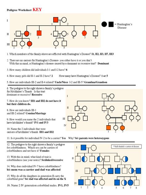 Interpreting A Human Pedigree Worksheet Key