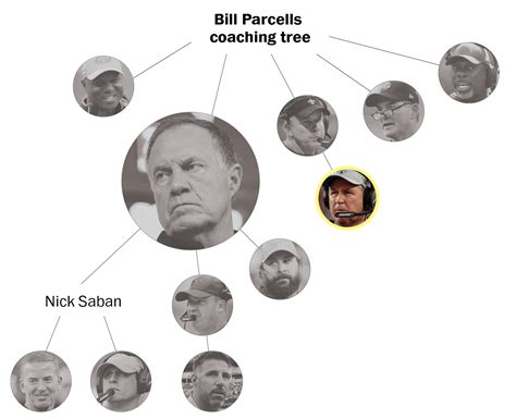 NFL coaching trees: Mapping the roots, influences of every active head ...