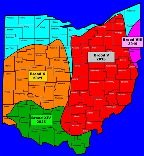 Indiana Cicada Map 2024 - Jolie Tammara