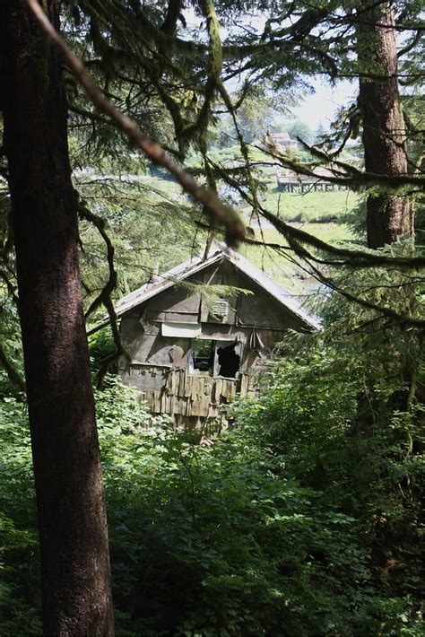 Ketchikan RainForest Sanctuary | markrees | Flickr