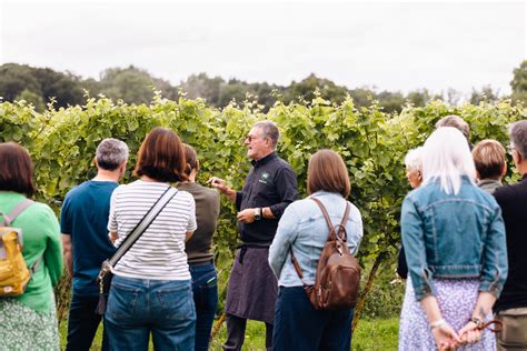 Wine Tasting Experience & Vineyard Tour - Yorkshire Heart