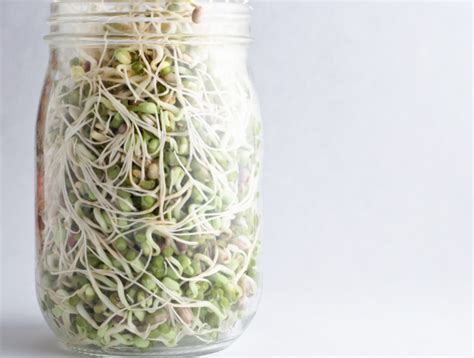 A Mini Guide to Soaking and Sprouting at Home - Whitney E. RD