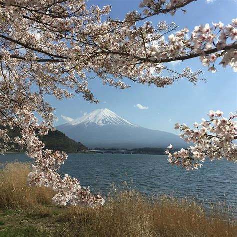 FACT CHECK: Is This Japan's Lake Kawaguchi?