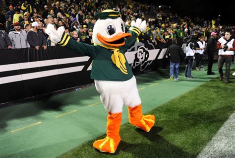 Man in Oregon Duck costume rubs crotch on window (Photo)