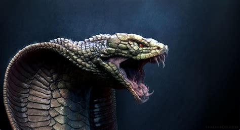 Cobra-Dragon, Dmitry Parkin | Cobra art, Snake art, Snake