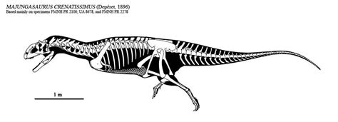 Majungasaurus skeletal by Dinomaniac on DeviantArt in 2020 ...