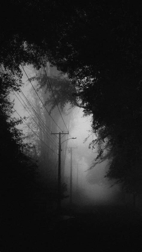 Power Lines on a Foggy Day in the Woods