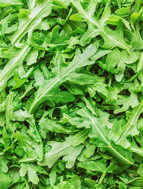 Arugula 101: Buying, Storing, and Benefits of "Rocket"! | Live Eat Learn