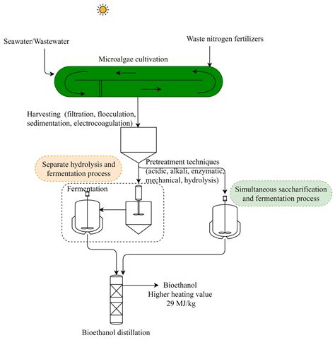 Fermentation | Free Full-Text | Microalgal Feedstock for Biofuel ...