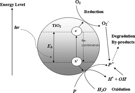 Photocatalytic Degradation of Organic Pollutants in Water | IntechOpen