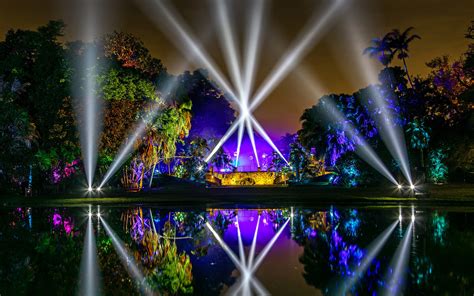 NightGarden: A Magical Light Experience | Greater Miami & Miami Beach