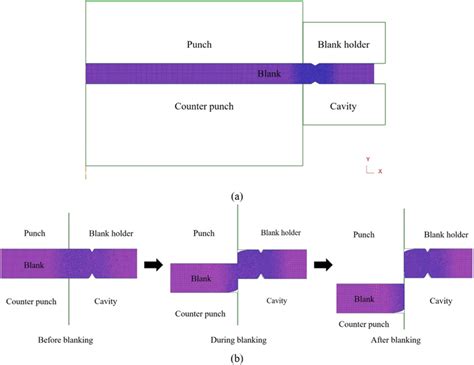 a Analysis model of fine-blanking; b fine-blanking simulation process ...