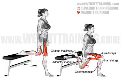 Bulgarian split squat exercise instructions and video | weighttraining ...