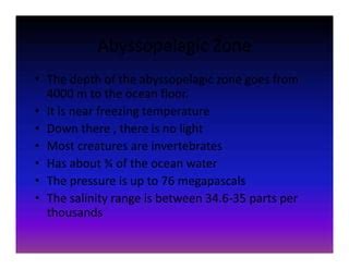 Abyssopelagic zone | PPT