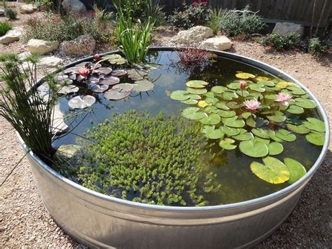 DECOOMO - TRENDS HOME DECOR | Ponds for small gardens, Container water ...