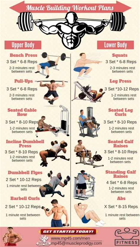 Muscle Building Workout Routine For Men