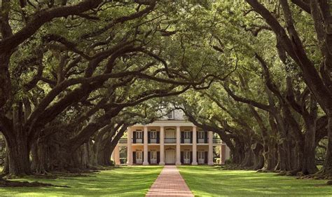 New Orleans Plantation Tours, New Orleans Plantations, Southern ...