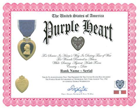 Purple Heart Medal Display Recognition