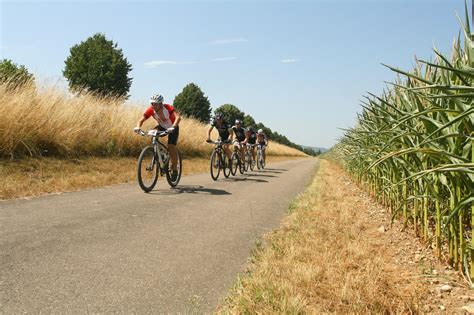 Die schönsten MTB Touren & Trails am Bodensee | Outdooractive