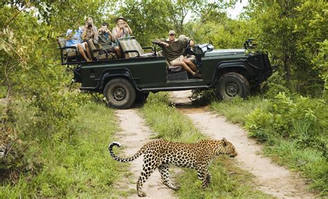 Kruger National Park - ManSpace Magazine