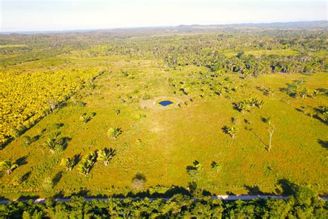 40 Acres Property Farmland » Vida & Co. Ltd - Belize Real Estate