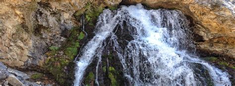 Lower Cedar Creek Falls Hike | A Fun Family Adventure | 10Adventures