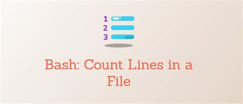 Bash Script for Counting Lines in a File