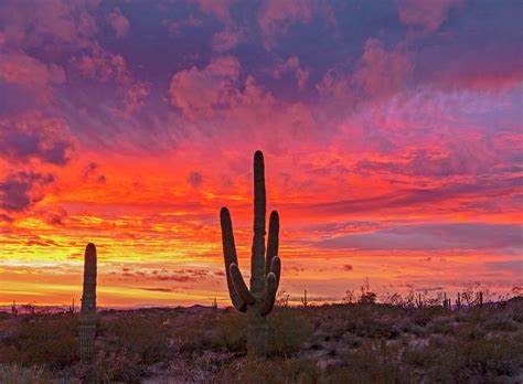 Stunning Desert Sunset Landscape With Colorful Clouds Photograph by Ray ...