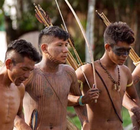 Indigenous groups, Amazon’s best land stewards, under federal attack