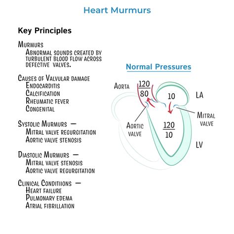 Clinical Pathology Glossary: Heart Murmurs - Stenosis & Regurgitation ...