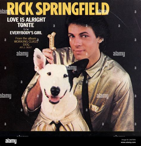 Rick Springfield - Love Is Alright Tonite - Classic vintage vinyl album ...