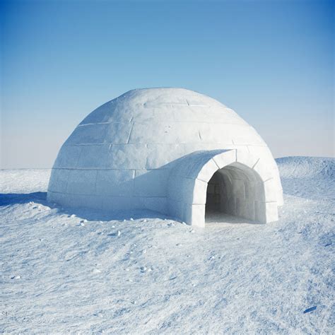 igloo snow 3d model