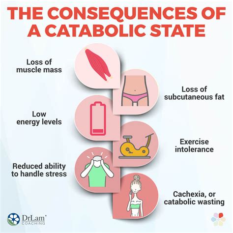 Dangerous Effects of a Catabolic State and Adrenal Fatigue Syndrome