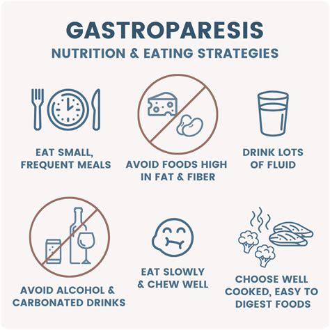 A Wellness Guide for Gastroparesis: Essential Resources, Information ...