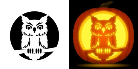 Image result for free owl pumpkin carving patterns | Owl pumpkin ...